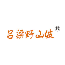 上海國際包裝展覽會采購商呂梁野山坡