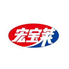 上海國際包裝展覽會采購商宏寶萊