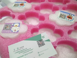 珍珠棉-上海國際包裝展覽會-中國包裝容器展